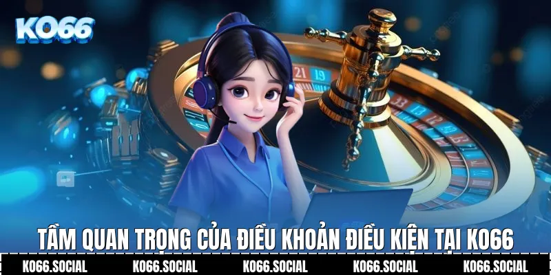 Tầm quan trọng của Điều Khoản Điều Kiện tại Ko66
